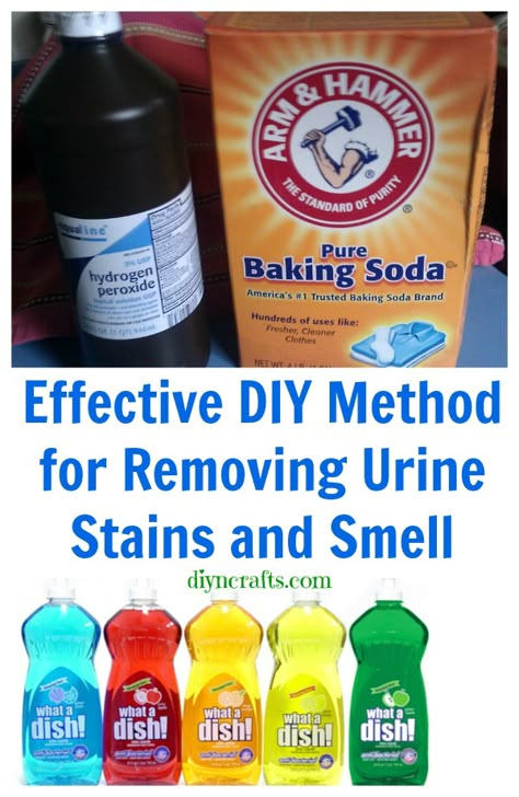 Clean Hacks, Handy Gadgets, Urine Smells, Urine Stains, Cleaning Stuff, Cleaning Tricks, Household Cleaning Tips, Diy Cleaners, Cleaning Organization