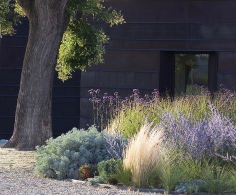 Gossamer Gardens: 12 Ideas for Landscaping with Mexican Feather Grass - Gardenista Grass Garden Design, Moderne Have, Grass Garden, Garden Grass, Drought Tolerant Garden, Meadow Garden, Garden Design Layout, Grasses Garden, Landscape Designs