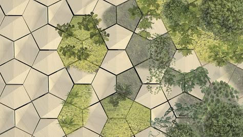 Hexagon Garden Design, Hexagon Garden, Artistic Garden, Landscape Architecture Presentation, Paving Pattern, Renovation Architecture, Urban Landscape Design, Pentagon Shape, Interior Design Drawings