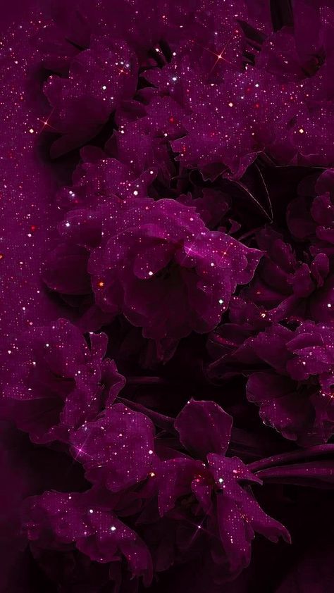 Amaranth Wallpaper, Purple And Magenta Aesthetic, Dark Red Pink Aesthetic, Dark Pink Background Aesthetic, Dark Pink Color Background, Purple And Red Wallpaper, Magenta Aesthetic Wallpaper, Dark Magenta Wallpaper, Dark Magenta Aesthetic