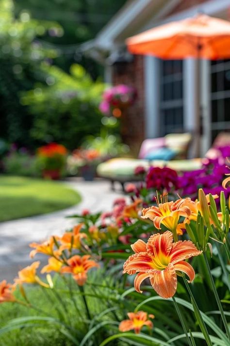 Vibrant Landscaping Ideas with Daylilies Liriope Landscape Front Yards, Landscaping With Daylilies, Day Lilies Landscaping, Daylily Landscaping, Daylilies Landscaping, Day Lily Garden, Day Lilies Care, Day Lilly, Monkey Grass