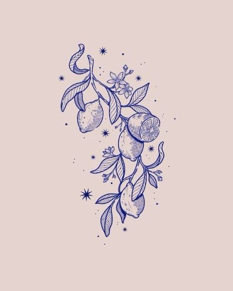 Aleksandra Pelc • tattoo | illustration • on Instagram: "• Citrus limon •  • • •  #lemonbranchtattoo #lemonbranchillustration #lemonillustration #botanicalart" Lime Branch Tattoo, Citrus Branch Tattoo, Citrus Fruit Tattoo, Fruit Plant Tattoo, Orange Plant Tattoo, Lemon Tree Branch Tattoo, Lemon Tattoo Color, Lemon Vine Tattoo, Lime Tree Tattoo