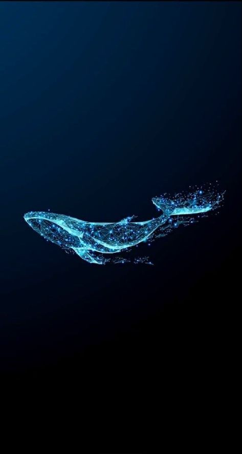 Whale Art Wallpaper, Ocean Art Wallpaper, 52 Hz Whale, Whales Aesthetic, Whale Anime, 52hz Whale, Blue Whale Wallpaper, Whale 52, Whale Wallpapers