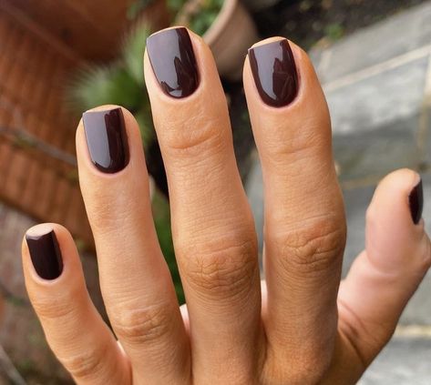 Dark Nails Wedding, Dark Brown Shellac Nails, Dark Brown Nails On Brown Skin, Shellac Brown Nails, Short Nail Dark Skin, Fall Color Shellac Nails, Short Gel Nails Autumn 2023, Nails Brown Dark, Gel Mani Short Nails Dark Color