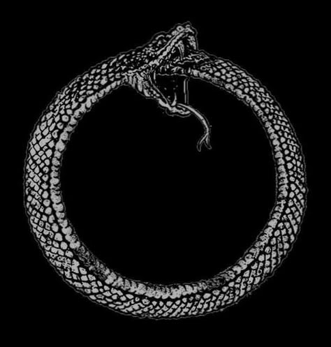 Ouroboros Art, The Gilded Wolves, Gilded Wolves, Ouroboros Tattoo, Snake Art, Doodles Drawings, Snake Tattoo, Black Snake, Typography Graphic