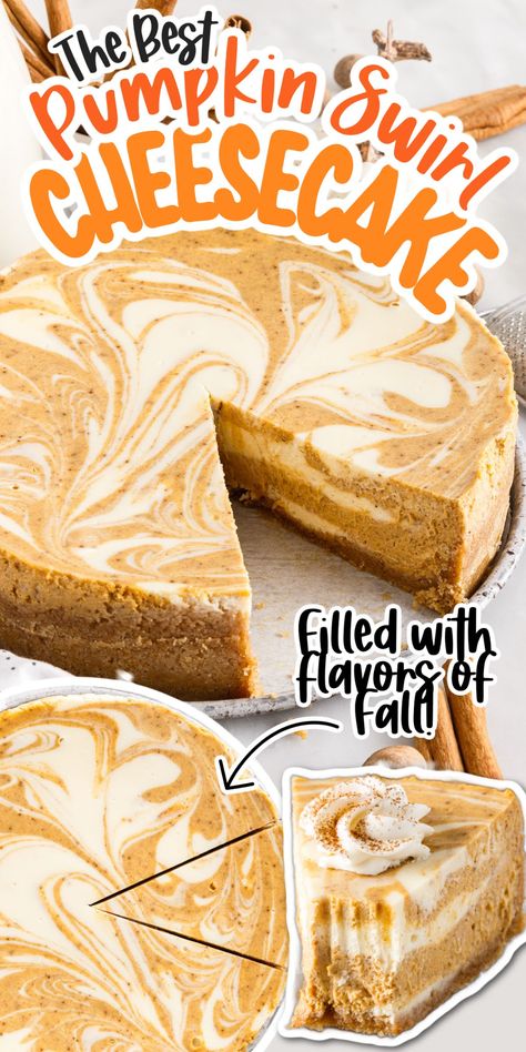 Pumpkin Swirl Cheesecake, Swirl Cheesecake, Pumpkin Pie Cheesecake, Pumpkin Dishes, Pumpkin Cheesecake Recipes, Pumpkin Recipes Dessert, Holiday Dessert, Pumpkin Flavor, Best Pumpkin