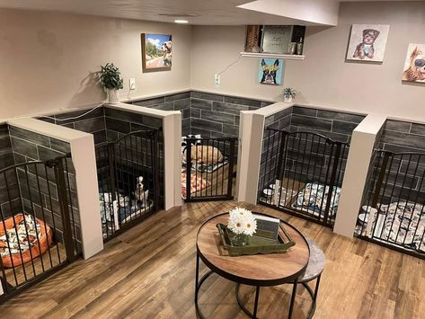 Dog Bedroom Ideas, Dog Boarding Kennels, Dog Room Decor, Countertops Diy, Dog Bedroom, Kitchen Concrete, Countertops Concrete, Puppy Room, Concrete Countertops Outdoor