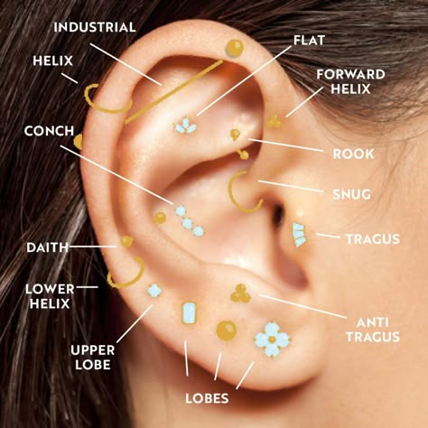 Earrings Piercings Names, Ear Piercing Layout Ideas Both Ears, Helix Percinings Ideas, Ear Decoration Piercings, Cartlidge Piercing Placement, Piercings Labeled, Nom Piercing Oreille, Earring Piercing Chart, Earring Placement Chart