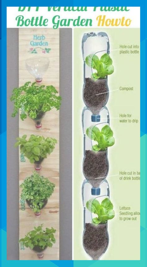 Plastic Bottle Garden, Diy Plastic Bottle, نباتات منزلية, Vertical Garden Diy, Vertical Herb Garden, Bottle Garden, Group Project, Plants Growing, Herbs Indoors