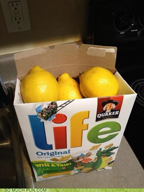 When Life Gives You Lemons ... Cute idea for someone who's down, add some gin and tonic to the box White Elephant Ideas, Punny Gifts, White Elephant Gift Ideas, Elephant Gift Ideas, Gag Gifts Christmas, Lemonade Recipe, White Elephant Gift, Santa Gifts, Main Game