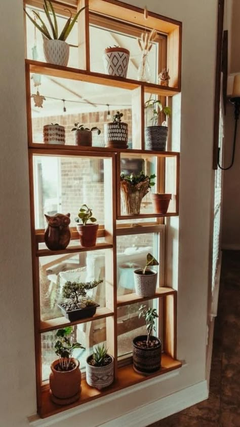 Vege Garden Ideas, Window Plant Shelf, Vege Garden, Indoor Plant Shelves, Plant Window, Window Plants, Window Shelves, Garden Shelves, Landscaping Flowers