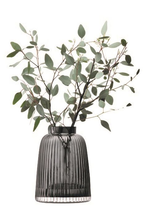 A Pretty Vase: LSA Pleat Vase Foliage Arrangements, Plant Png, Contemporary Vases, Heritage Crafts, Black Vase, Plant Vase, Diy Kits Gift, Grey Glass, Table Vases