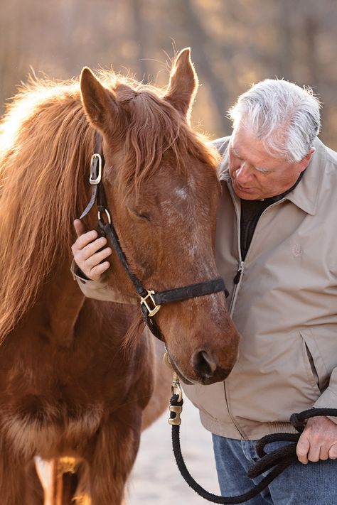 Chestnut Horses, Horse Ownership, Horse Rescue, Types Of Horses, Appaloosa Horses, Adoption Center, Chestnut Horse, Horse Owner, Appaloosa