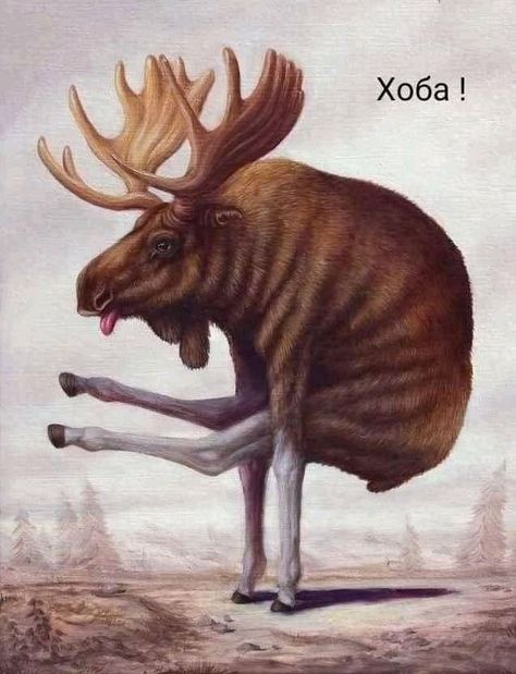 Pin by Yuliya Rekun on ЮморОK | Surreal art, Animal paintings, Bizarre animals Bruno Pontiroli, Acrobatic Poses, Moose Painting, Bizarre Animals, Photo Realism, Colossal Art, Platypus, 3d Drawings, Music Photography