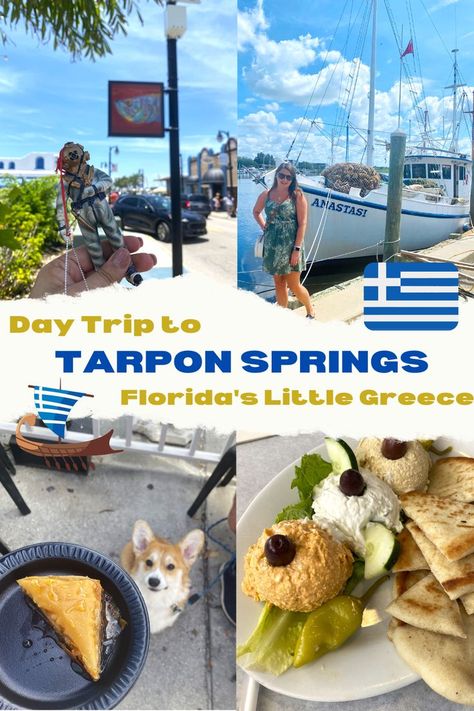 Tarpon Springs Sponge Docks, Dogs On Boats, Tarpon Springs Florida, Florida Travel Destinations, Anna Maria Island Florida, Florida Travel Guide, Springs Florida, Tarpon Springs, Travel Girl