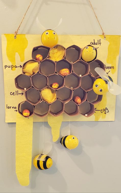 Beehive Activities For Preschool, Bumble Bee Craft Kindergarten, Bee Model School Project, Bee Day Eyfs, Honey Bee Science Fair Project, Honey Bee Life Cycle Project, Bee School Project, Beehive Dramatic Play, Life Cycle Of A Bee Craft