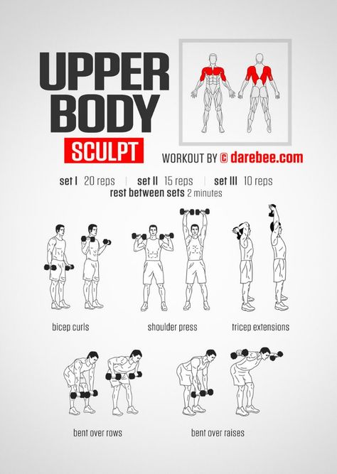 Upper Body Workout To Tone Your Arms Arm Workout Men, Sculpt Workout, Fitness Studio Training, Trening Sztuk Walki, Gym Antrenmanları, Dumbell Workout, Trening Fitness, Weight Training Workouts, Training Motivation