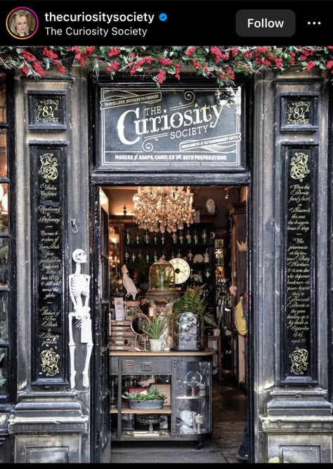 Gothic Bookstore Aesthetic, Magic Shop Interior, Magic Store Aesthetic, Witch Store Aesthetic, Witch Shop Aesthetic, Witchy Shop, Apothecary Store, Witch Store, Magic Store