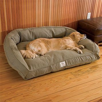 Fancy Dog Beds, Big Dog Beds, Dog Couch Bed, Cute Dog Beds, Diy Dog Crate, Dog Couch, Fancy Dog, Dog Rooms, Dog Bed Large