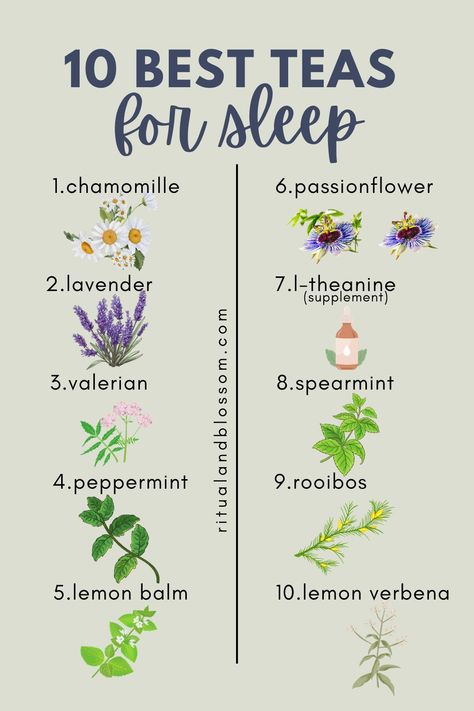 list of best teas for sleep Teas For Sleep, Best Tea For Sleep, Herbs For Sleep, Tea Before Bed, Bedtime Tea, Best Teas, Sleep Drink, Spearmint Tea, Sleep Tea