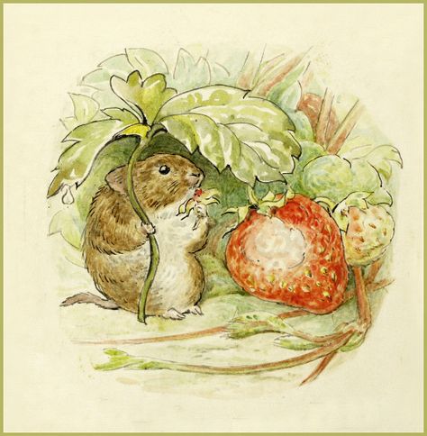 Beatrix Potter "The Tale of Johnny Town-Mouse - Timmy Will… | Flickr Beatrix Potter Nursery, Beatrix Potter Illustrations, Beatrice Potter, 동화 삽화, Cottagecore Art, Nursery Artwork, Art Mignon, Rabbit Art, Illustration Inspiration