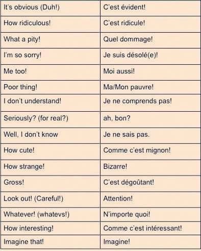 French Travel Phrases, Cute French Words, French Nouns, French Words With Meaning, French Language Basics, French Words Quotes, Useful French Phrases, French Basics, French Flashcards