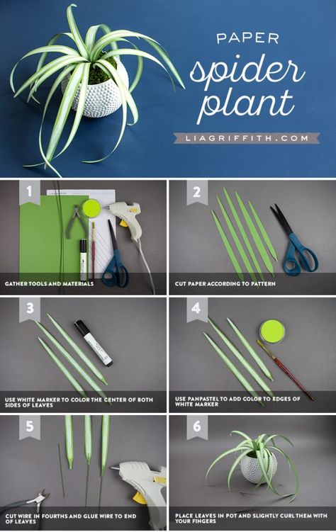 ขวดโหล Mason Jar, Paper Spider, Spider Plant, Dollhouse Miniature Tutorials, Paper Plants, Dollhouse Miniatures Diy, Tile Designs, Make Paper, Miniature Diy