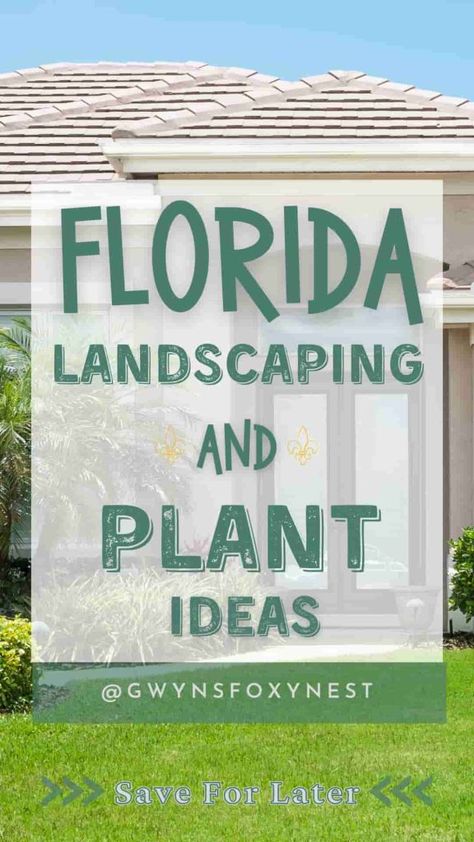 Get inspired with Florida landscape ideas! From native plants and water features to outdoor living spaces, discover creative ways to design a stunning, eco-friendly yard that thrives in the Sunshine State. Landscaping In Florida Front Yards, Florida Raised Garden Bed, Florida Zone 9b Landscaping, Flower Garden Florida, Small Front Yard Landscaping Florida, Sw Florida Landscaping Ideas, Florida Yard Landscaping, Florida Landscaping Around Pool Cage, Simple Florida Landscaping Front Yard