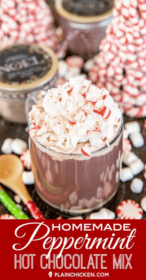 Hot Chocolate Mix Recipes Dry, Peppermint Hot Chocolate Mix, Peppermint Hot Chocolate Recipe, Hot Cocoa Mix Recipe, Hot Chocolate Mix Recipe, Homemade Dry Mixes, Homemade Hot Chocolate Mix, Peppermint Cocoa, Diy Hot Chocolate