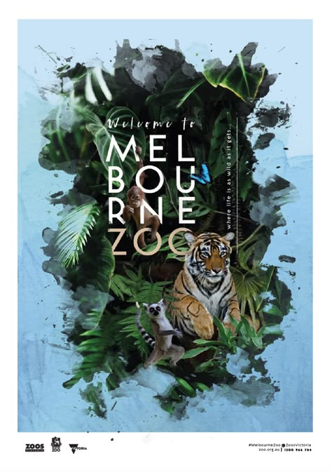 Designed by Stephanie Wills Unit 4 VCE Vis Com- Melbourne Zoo  Promotional Poster Zoo Poster Design Graphics, Zoo Brochure Design, Safari Poster Design, Zoo Flyer, Photography Workshop Poster, Museum Banner, Zoo Poster Design, Safari Poster, New Zealand Wildlife