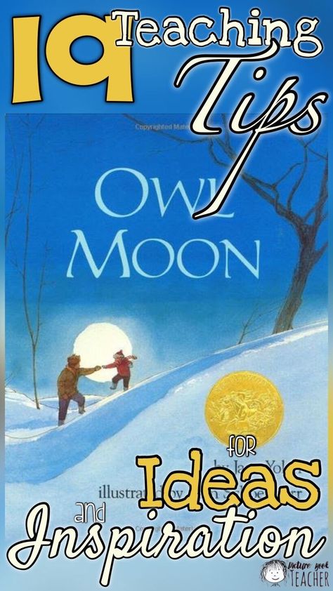 Owl Moon Activities First Grade, Owl Moon Art, Owl Moon Activities, Moon Lessons, First Grade Themes, Last Quarter Moon, Literature Unit Studies, Reading Skills And Strategies, Moon Activities