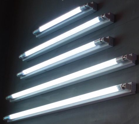 Indoor UV Rays Fluorescent Tube Light, Fluorescent Lights, Led Tube Light, Fluorescent Lamp, Fluorescent Tube, Led Tubes, Tube Light, Plant Lighting, Lamp Cover