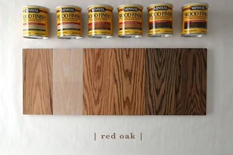 This post is sponsored by Minwax. We've been wanting to do a wood/stain study for years now and in my head, I wanted to do every type of wood with about 20 different stains each. But with limited Oak Floor Stains, Wood Floor Stain Colors, Floor Stain Colors, Minwax Stain Colors, Weathered Oak Stain, Red Oak Stain, Jacobean Stain, Red Oak Floors, Special Walnut Stain