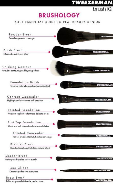 Makeup brush shapes explained Brushes For Makeup, Diy Makeup Brush Cleaner, Make Up Kits, Diy Makeup Brush, Makeup Lipgloss, Makeup Brush Uses, Brush Guide, Alat Makeup, Makeup Brushes Guide