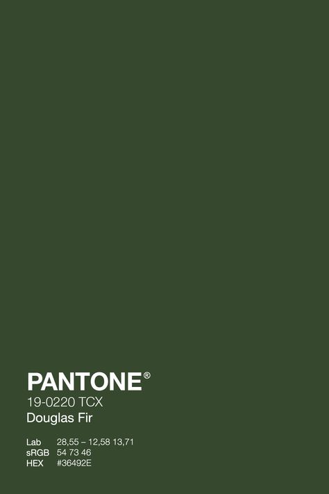 Get ready for winter with the fresh and cozy PANTONE Gouglas Fir 19-0220 TCX green. This color will give your wardrobe an instant refresh and keep you feeling warm without compromising style. Get your grinch on early with green! #PantoNE #PineGrove #WinterWardrobe #green #wintercolor Forest Green Color Swatch, Colour Green Aesthetic, Pantone Shades Of Green, Dark Green Color Swatch, Forest Green Shades, Fall Green Aesthetic, Deep Green Aesthetic Vintage, Green Pantone Colors, Royal Green Aesthetic