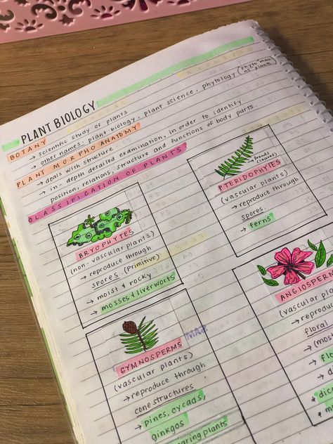 #studyveee #cutenotes #cute #notes #inspired Horticulture Notes, Agriculture Notes, School Notes Ideas, Neet Notes, Biology Plants, Plant Physiology, Plant Notes, Chemistry Classroom, Plant Structure