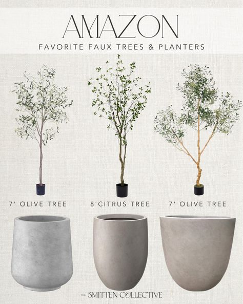 Phimos 7FT Artificial Olive Tree … curated on LTK Olive Trees Landscape Front Yards, Olive Tree Hedge, Indoor Olive Trees In Pots, Olive Tree Pot, Olive Tree Planter, Potted Trees Patio, Olive Trees In Pots, Sweet Olive Tree, Olive Tree Indoor