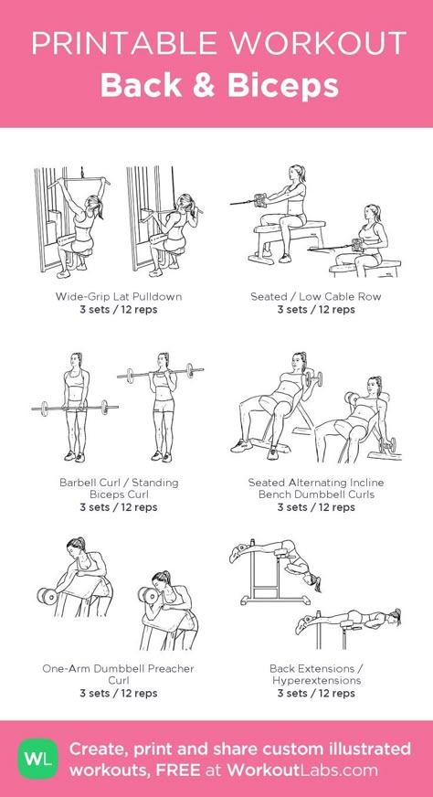 Rutina de bíceps Bicep Routine, Back And Bis, Back And Bicep Workout, Workout Morning, Workout Labs, Back Workout Women, Bicep Workout, Printable Workout, Back Workouts