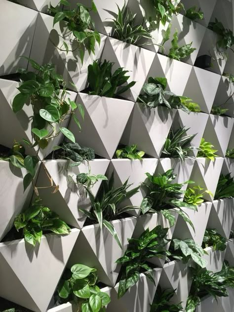 The W90 system is a premium vertical garden for interiors as well as outdoor facades. It combines quality materials, sophisticated system and original design that creates a unique atmosphere in the space. Hydroponic Interior Design, Hydroponic Wall Garden, Vertical Garden Facade, Vertical Farming Design, Vertical Garden Architecture, Vertical Garden Wall Design, Indoor Vertical Garden Wall, Modern Vertical Garden, Modular Planter