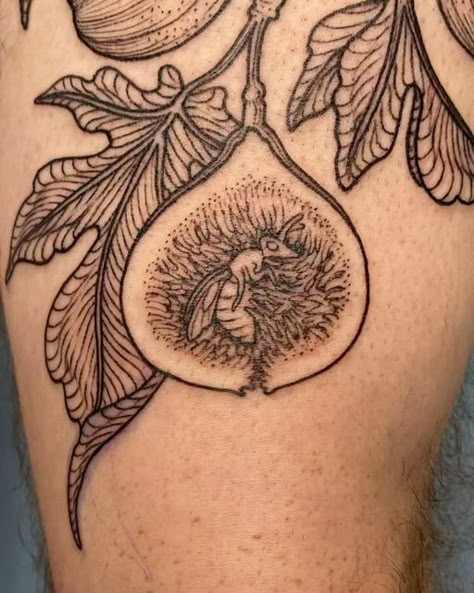 Maggie on Instagram: "Fig wasps 😊 Thank you Sam!" Fig Beetle Tattoo, Soil Tattoo Design, Fig Flower Tattoo, Woodcut Tattoo Nature, Kudzu Tattoo, Fruit Sticker Tattoo, Garden Spider Tattoo, Bug Sleeve Tattoo, Foliage Tattoos