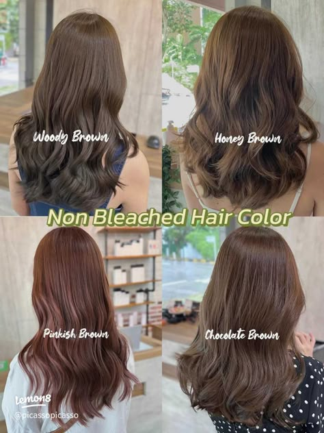 Trending Non Bleached Hair Color | Gallery posted by Picasso Hair | Lemon8 Hair Color Simple Natural, Milktea Ash Brown Without Bleach, Tone Down Hair Color, Light Brown Without Bleach, Minimalist Hair Color, Brown Hair For Tan Skin Tone, Haircolour Without Bleaching, Hair Color That Doesn't Need Bleach, Brown No Bleach Hair