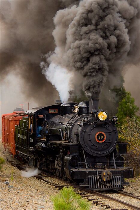 Sumpter Valley Train Steam Trains Photography, Old Steam Train, Railroad Art, Steam Engine Trains, Scenic Railroads, Train Art, Train Photography, Old Trains, Steam Train