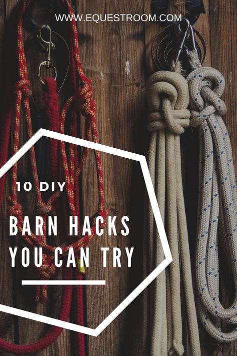 Tack Room Makeover, Horse Tack Organization, Horse Diy Projects, Barn Hacks Horse, Tack Room Ideas Diy, Diy Stables For Horses, Tackroom Ideas Equestrian, Horse Barn Hacks, Horse Barn Organization