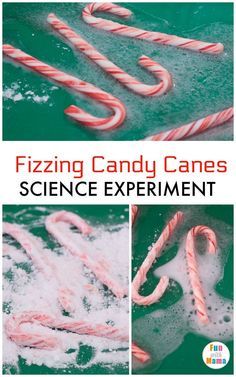 Winter Decor After Christmas Diy Crafts, Grinch Science Experiments, Candy Cane Experiment Preschool, Letter N Science Experiments, Baking Soda Experiments, Candy Cane Science, Christmas Science Experiments, Science Homeschool, Winter Science