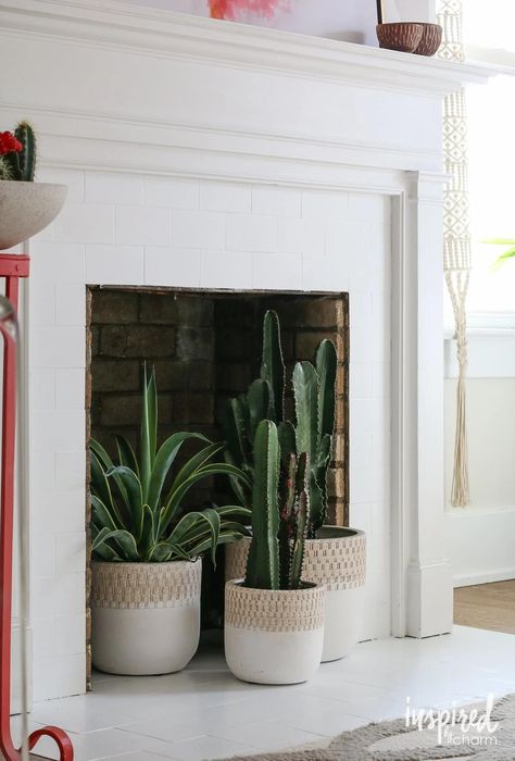 Plant In Fireplace, Plants In Fireplace Ideas, Plants In Front Of Fireplace, Plants In Fireplace, Ivy Fireplace, Inside Fireplace Decor, Fireplace Filler Ideas, Plants Fireplace, Fireplace Plants