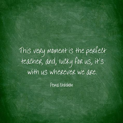 This very moment is the perfect teacher, and, lucky for us, it's with us wherever we are. — Pema Chödrön Quotes About Presents, Quotes For Yoga, Pema Chodron Quotes, Pema Chödrön, Pema Chodron, Buddhist Wisdom, Buddhism Quote, Meditation Quotes, Yoga Quotes