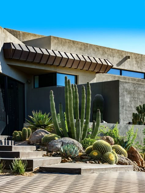 Desert Mountain Home Desert Plants Landscaping, Drought Tolerant Landscape Front Yard, Palm Springs Landscaping, Cactus Garden Design, Desert Landscape Design, Boulder Garden, Arizona Backyard, Front Lawn Landscaping, Drought Tolerant Garden