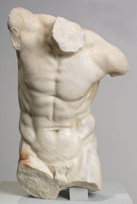 Torso of a Dancing Faun Artist Unknown (Graeco-Roman) (Italy/Greece, Europe), 1st century Marble Anatomy Sculpture, Roman Statue, Classic Sculpture, Greek Statues, Male Torso, Roman Sculpture, Greek Sculpture, Ancient Sculpture, 1st Century