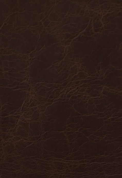 Spoleto Leather - Chestnut Pantone Swatches, Chestnut Leather, Color Cafe, Fabric Swatch, Scrapbook Ideas, Chestnut, Old Money, Cafe, Wallpapers