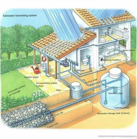 Rainwater Harvesting System, Rainwater Harvesting, Water Collection, House Landscaping, Front House, Rain Water Collection, Earthship, Sustainable Home, Diy Plans